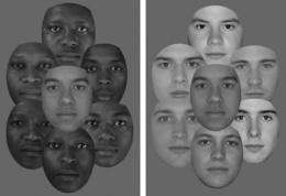 Study shows skin tone is not the major determinant of perceived racial identity