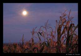 Super harvest moon to produce 'rare twilight glow'