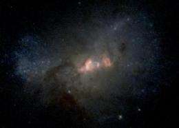 Surprise: Dwarf galaxy harbors supermassive black hole