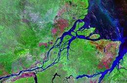 The Amazon: from wetland to river