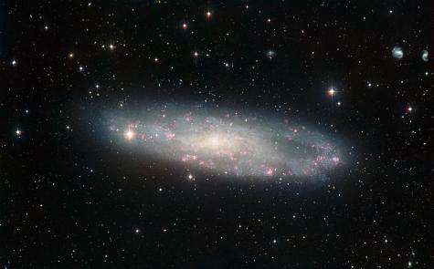 The dusty disc of NGC 247