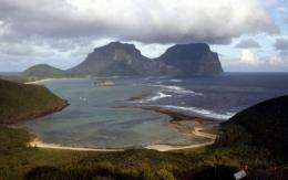 The modern reef at Lord Howe Island