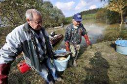 The spill wiped out all life in the Marcal river, a tributary of the Danube