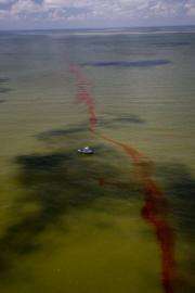 This BP handout image shows a boat scouring the surface of the Gulf of Mexico off the Grand Isle area of Louisiana