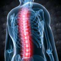 Thousands of New Proteins Discovered in Spinal Fluid