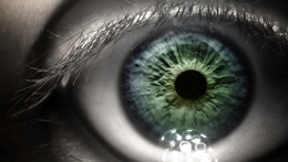 To restore vision, implant preps and seeds a damaged eye