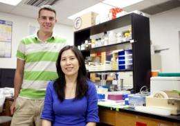 UF discovery could lead to better genetic screening for diabetes (w/ Video)