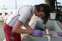 UF marine researchers rush to collect samples as oil threat grows