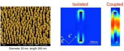 Ultrafast transparency in a plasmonic nanorod