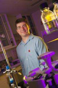 UNL biochemist probes protein for disease clues