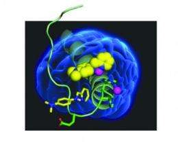 Unraveling Alzheimer's: Simple small molecules could untangle complex disease