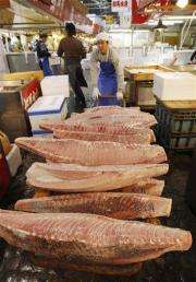 UN rejects export ban on Atlantic bluefin tuna (AP)
