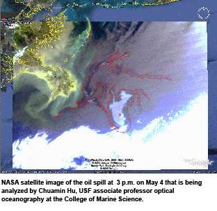 USF Scientists Track Spill