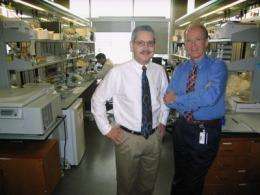 UTHealth stem cell scientists explore treatments for blood disorders and lung diseases