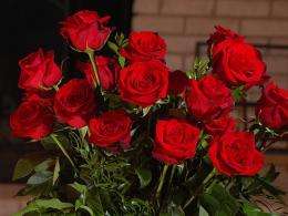 Valentine's bouquets could harm the environment