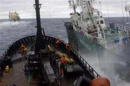 Whalers, activists clash again off Antarctica (AP)