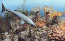 What triggers mass extinctions? Study shows how invasive species stop new life
