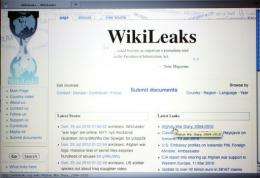 WikiLeaks on Wednesday released a CIA memo analyzing the risks of terrorists operating from the United States