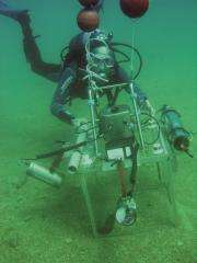 Without oxygen, "nothing goes" - Marine biologists get to the bottom of dead zones