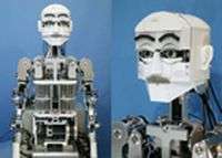 Robots provide insight into human perception