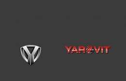 Yarovit-Motors, said it was preparing to launch a project to produce low-cost electric cars