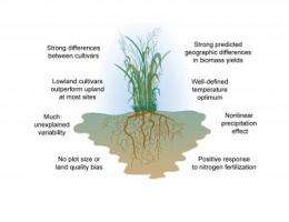 Yield projections for switchgrass as a biofuel crop