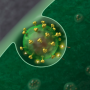 Study confirms how RNA chemical modifications benefit HIV-1