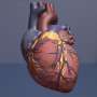 Biomimetic transcatheter aortic heart valve offers new option for
aortic stenosis patients