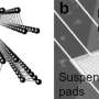 recent research papers in crystal growth