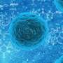 stem cell therapy and research