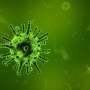 virus like particle review
