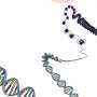 gene editing research studies
