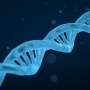 Study highlights importance of genetic sequencing to diagnosis of
growth disorders