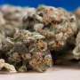 research paper about marijuana legalization