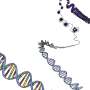 New physics law could predict genetic mutations