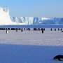 antarctica cruise environmental impact