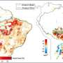 which case study shows deforestation