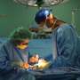 Surgery for torn meniscus still performed unnecessarily, too often: Study thumbnail