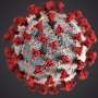 Europe rushes to bolster virus defences as South Africa detects new strain thumbnail