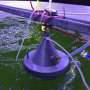 Chemists develop new know-how that detects algae crop well being thumbnail