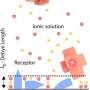 Development of 'cellular membrane-FET (lipid-FET)' for sensitivity of biosensor