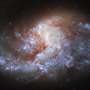 Hubble views a galaxy in a 'furnace'