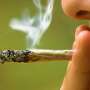 essay about drugs legalization