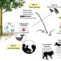 Local ecological knowledge is useful for studying plant-animal interaction networks