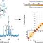 Machine learning solves the who's who problem in NMR spectra of organic crystals thumbnail