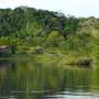 Hydropower dams induce widespread species extinctions across Amazonian forest islands