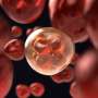 Blood stem cells unlock clues for helping sepsis patients fight
recurring infections
