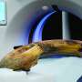 CT scanner captures entire wooly mammoth tusk