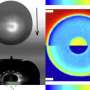 Heat conduction is important for droplet dynamics thumbnail