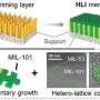 Hetero-lattice intergrown MOF membranes: A potential solution to polyol upgrading in industry